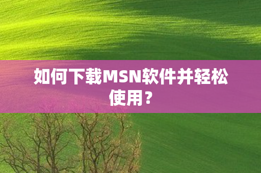 如何下载MSN软件并轻松使用? 如何下载MSN软件并轻松使用?