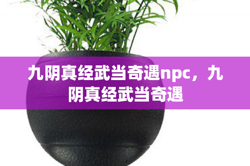 九阴真经武当奇遇npc,九阴真经武当奇遇 九阴真经武当奇遇npc,九阴真经武当奇遇