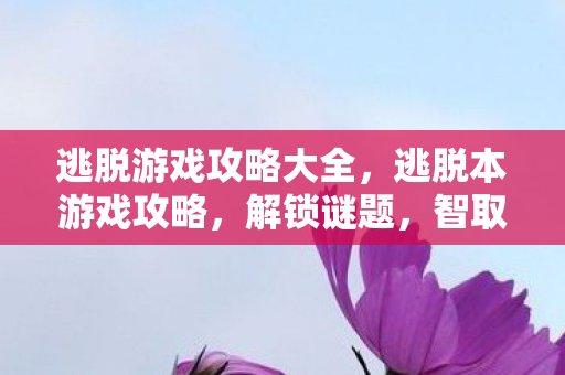逃脱游戏攻略大全,逃脱本游戏攻略,解锁谜题,智取胜利 逃脱游戏攻略大全,逃脱本游戏攻略,解锁谜题,智取胜利