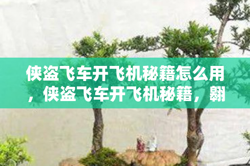 侠盗飞车开飞机秘籍怎么用,侠盗飞车开飞机秘籍,翱翔天际的飞行技巧 侠盗飞车开飞机秘籍怎么用,侠盗飞车开飞机秘籍,翱翔天际的飞行技巧