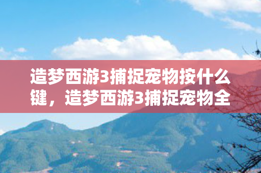 造梦西游3捕捉宠物按什么键，造梦西游3捕捉宠物全攻略，打造你的专属萌宠战队