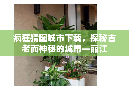 疯狂猜图城市下载,探秘古老而神秘的城市—丽江 疯狂猜图城市下载,探秘古老而神秘的城市—丽江