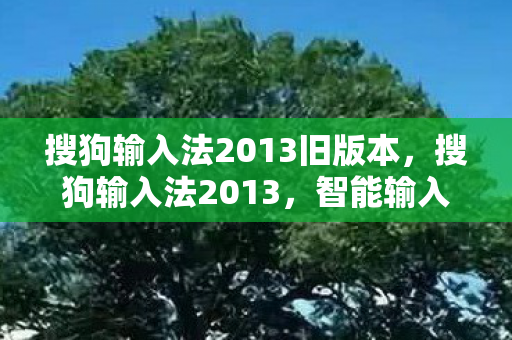 搜狗输入法2013旧版本,搜狗输入法2013,智能输入,高效沟通 搜狗输入法2013旧版本,搜狗输入法2013,智能输入,高效沟通