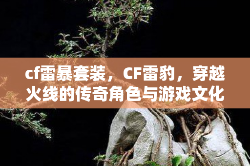 cf雷暴套装,CF雷豹,穿越火线的传奇角色与游戏文化 cf雷暴套装,CF雷豹,穿越火线的传奇角色与游戏文化