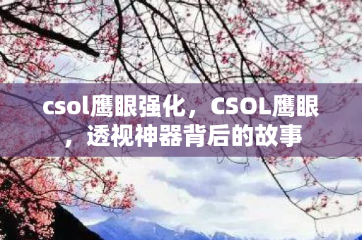 csol鹰眼强化,CSOL鹰眼,透视神器背后的故事 csol鹰眼强化,CSOL鹰眼,透视神器背后的故事