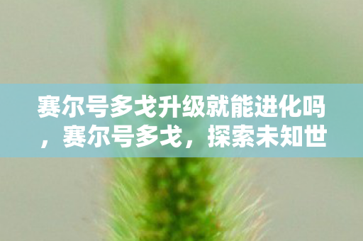 赛尔号多戈升级就能进化吗,赛尔号多戈,探索未知世界的奇妙冒险 赛尔号多戈升级就能进化吗,赛尔号多戈,探索未知世界的奇妙冒险