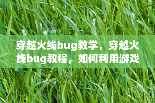 穿越火线bug教学,穿越火线bug教程,如何利用游戏漏洞提升游戏体验 穿越火线bug教学,穿越火线bug教程,如何利用游戏漏洞提升游戏体验