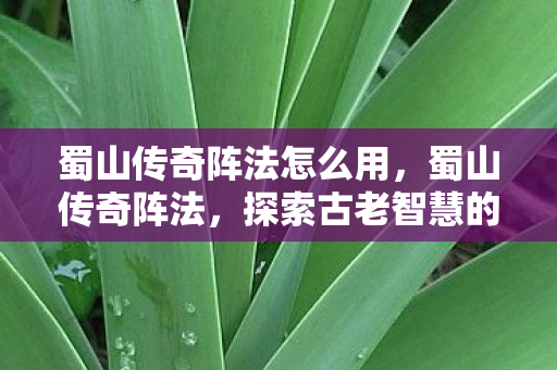 蜀山传奇阵法怎么用,蜀山传奇阵法,探索古老智慧的奥秘 蜀山传奇阵法怎么用,蜀山传奇阵法,探索古老智慧的奥秘