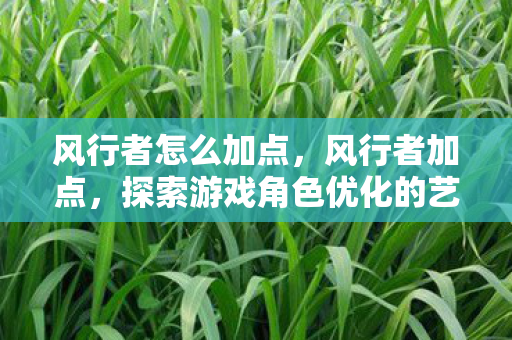 风行者怎么加点,风行者加点,探索游戏角色优化的艺术 风行者怎么加点,风行者加点,探索游戏角色优化的艺术