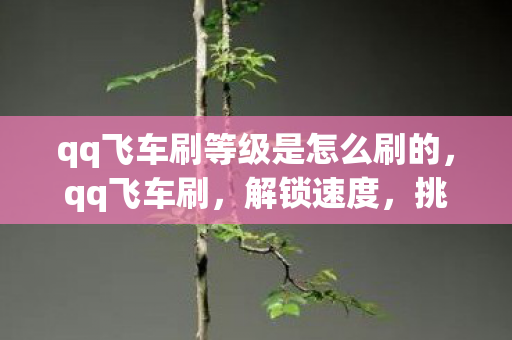 qq飞车刷等级是怎么刷的,qq飞车刷,解锁速度,挑战极限 qq飞车刷等级是怎么刷的,qq飞车刷,解锁速度,挑战极限