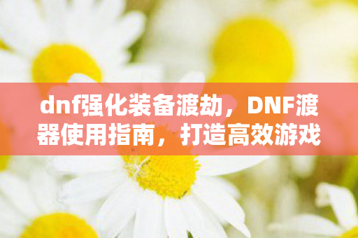 dnf强化装备渡劫,DNF渡器使用指南,打造高效游戏环境 dnf强化装备渡劫,DNF渡器使用指南,打造高效游戏环境