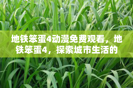 地铁笨蛋4动漫免费观看,地铁笨蛋4,探索城市生活的另类视角 地铁笨蛋4动漫免费观看,地铁笨蛋4,探索城市生活的另类视角