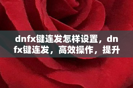 dnfx键连发怎样设置,dnfx键连发,高效操作,提升游戏体验 dnfx键连发怎样设置,dnfx键连发,高效操作,提升游戏体验
