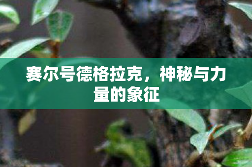 赛尔号德格拉克,神秘与力量的象征 赛尔号德格拉克,神秘与力量的象征