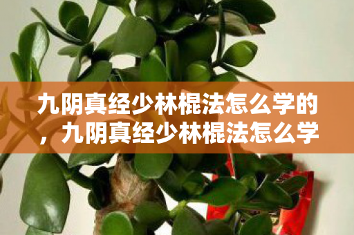 九阴真经少林棍法怎么学的,九阴真经少林棍法怎么学 九阴真经少林棍法怎么学的,九阴真经少林棍法怎么学