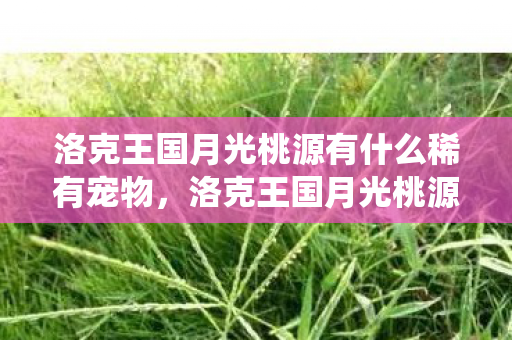 洛克王国月光桃源有什么稀有宠物,洛克王国月光桃源,神秘仙境的探寻之旅 洛克王国月光桃源有什么稀有宠物,洛克王国月光桃源,神秘仙境的探寻之旅