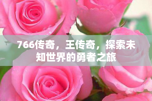 766传奇,王传奇,探索未知世界的勇者之旅 766传奇,王传奇,探索未知世界的勇者之旅