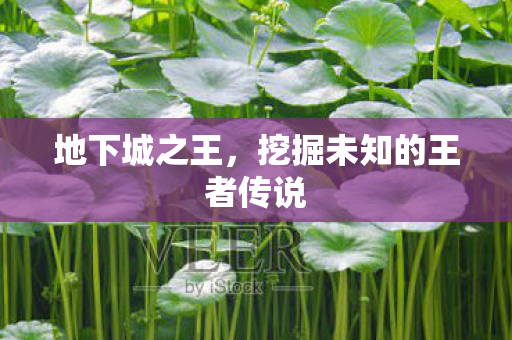 地下城之王,挖掘未知的王者传说 地下城之王,挖掘未知的王者传说