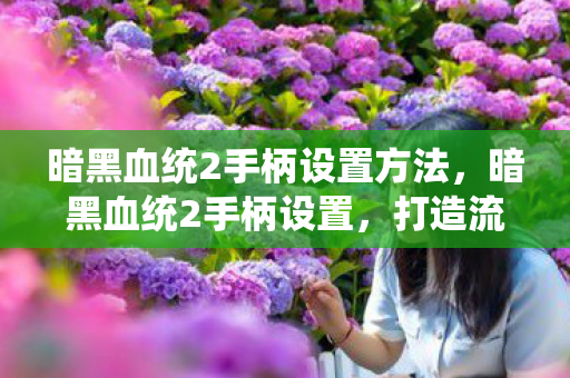 暗黑血统2手柄设置方法,暗黑血统2手柄设置,打造流畅游戏体验 暗黑血统2手柄设置方法,暗黑血统2手柄设置,打造流畅游戏体验