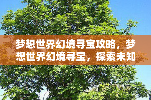 梦想世界幻境寻宝攻略,梦想世界幻境寻宝,探索未知世界的奇幻之旅 梦想世界幻境寻宝攻略,梦想世界幻境寻宝,探索未知世界的奇幻之旅