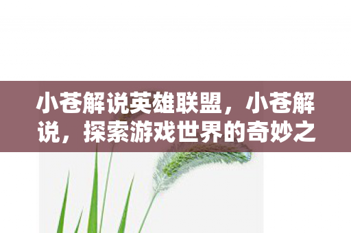 小苍解说英雄联盟,小苍解说,探索游戏世界的奇妙之旅 小苍解说英雄联盟,小苍解说,探索游戏世界的奇妙之旅