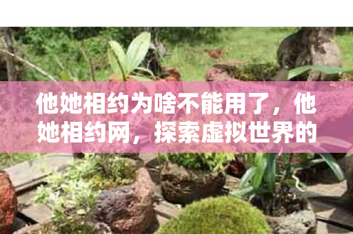 他她相约为啥不能用了，他她相约网，探索虚拟世界的浪漫邂逅