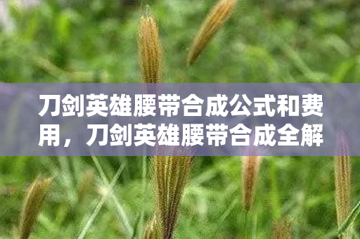 刀剑英雄腰带合成公式和费用,刀剑英雄腰带合成全解析,打造属于你的传奇装备 刀剑英雄腰带合成公式和费用,刀剑英雄腰带合成全解析,打造属于你的传奇装备