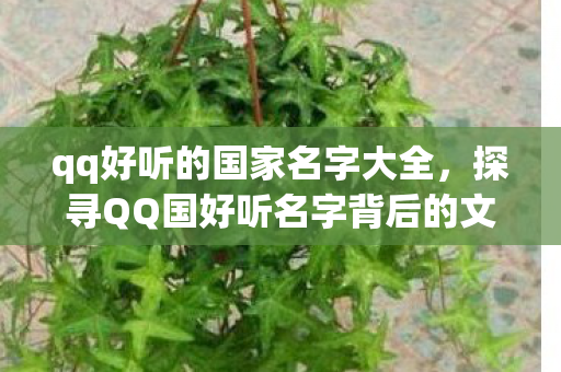 qq好听的国家名字大全,探寻QQ国好听名字背后的文化韵味 qq好听的国家名字大全,探寻QQ国好听名字背后的文化韵味
