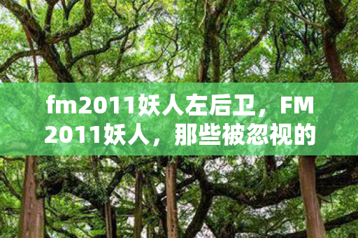 fm2011妖人左后卫，FM2011妖人，那些被忽视的足球天才