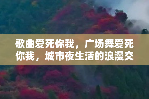 歌曲爱死你我,广场舞爱死你我,城市夜生活的浪漫交响曲 歌曲爱死你我,广场舞爱死你我,城市夜生活的浪漫交响曲