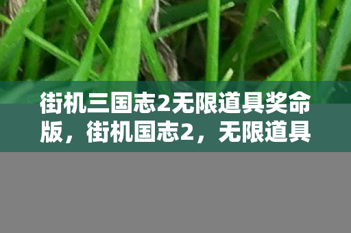 街机三国志2无限道具奖命版，街机国志2，无限道具奖命版，探索经典游戏的全新可能
