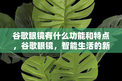 谷歌眼镜有什么功能和特点,谷歌眼镜,智能生活的新篇章 谷歌眼镜有什么功能和特点,谷歌眼镜,智能生活的新篇章