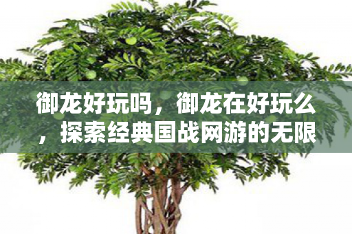 御龙好玩吗,御龙在好玩么,探索经典国战网游的无限乐趣 御龙好玩吗,御龙在好玩么,探索经典国战网游的无限乐趣