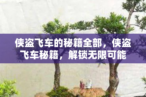 侠盗飞车的秘籍全部，侠盗飞车秘籍，解锁无限可能