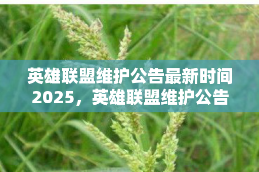 英雄联盟维护公告最新时间2025,英雄联盟维护公告最新,保障游戏稳定,优化玩家体验 英雄联盟维护公告最新时间2025,英雄联盟维护公告最新,保障游戏稳定,优化玩家体验