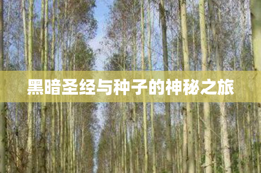 黑暗圣经与种子的神秘之旅 黑暗圣经与种子的神秘之旅