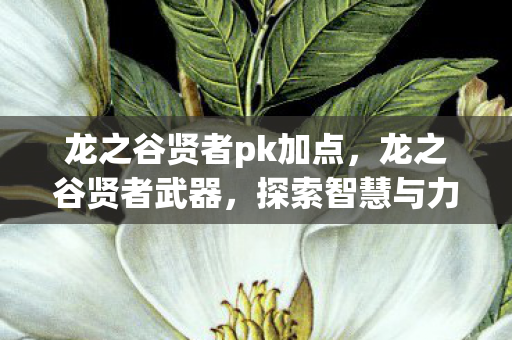 龙之谷贤者pk加点,龙之谷贤者武器,探索智慧与力量的完美结合 龙之谷贤者pk加点,龙之谷贤者武器,探索智慧与力量的完美结合