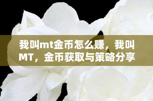 我叫mt金币怎么赚,我叫MT,金币获取与策略分享 我叫mt金币怎么赚,我叫MT,金币获取与策略分享