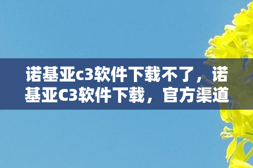 诺基亚c3软件下载不了，诺基亚C3软件下载，官方渠道与资源获取指南