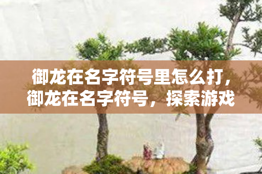 御龙在名字符号里怎么打，御龙在名字符号，探索游戏世界的无限可能