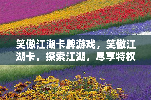 笑傲江湖卡牌游戏，笑傲江湖卡，探索江湖，尽享特权