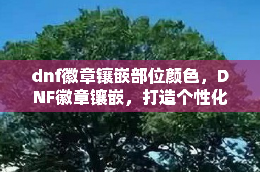 dnf徽章镶嵌部位颜色,DNF徽章镶嵌,打造个性化角色,提升战斗力的关键 dnf徽章镶嵌部位颜色,DNF徽章镶嵌,打造个性化角色,提升战斗力的关键