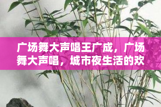 广场舞大声唱王广成，广场舞大声唱，城市夜生活的欢乐旋律