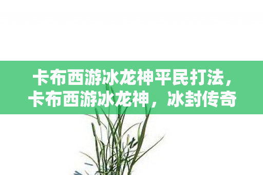 卡布西游冰龙神平民打法,卡布西游冰龙神,冰封传奇的觉醒 卡布西游冰龙神平民打法,卡布西游冰龙神,冰封传奇的觉醒
