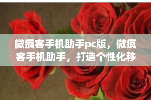微疯客手机助手pc版,微疯客手机助手,打造个性化移动设备管理新体验 微疯客手机助手pc版,微疯客手机助手,打造个性化移动设备管理新体验