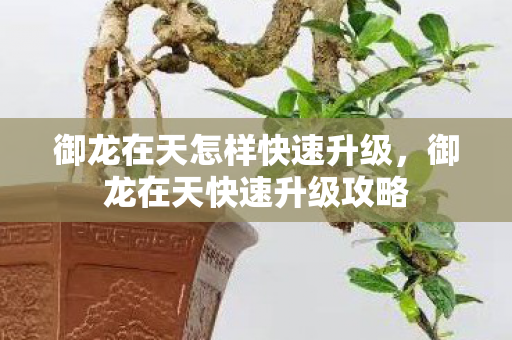 御龙在天怎样快速升级,御龙在天快速升级攻略 御龙在天怎样快速升级,御龙在天快速升级攻略