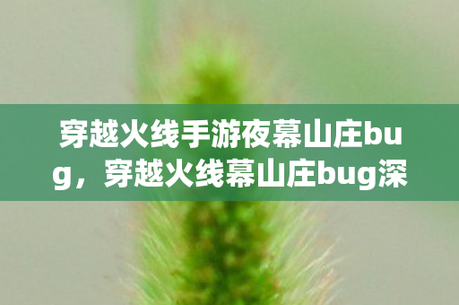 穿越火线手游夜幕山庄bug，穿越火线幕山庄bug深度解析，游戏乐趣与平衡的挑战