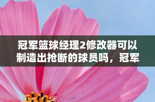 冠军篮球经理2修改器可以制造出抢断的球员吗，冠军篮球经理2修改器，打造你的梦幻篮球帝国