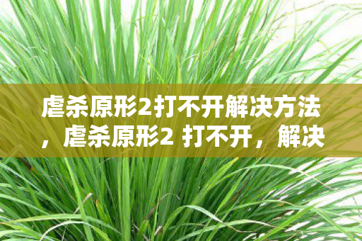 虐杀原形2打不开解决方法,虐杀原形2 打不开,解决游戏启动问题的全面指南 虐杀原形2打不开解决方法,虐杀原形2 打不开,解决游戏启动问题的全面指南