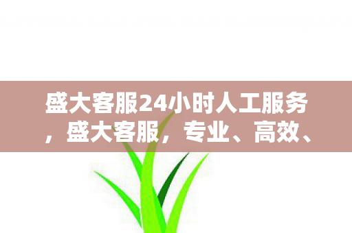 盛大客服24小时人工服务,盛大客服,专业、高效、贴心的服务体验 盛大客服24小时人工服务,盛大客服,专业、高效、贴心的服务体验